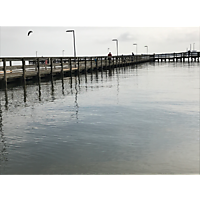 Gloucester King Tide image